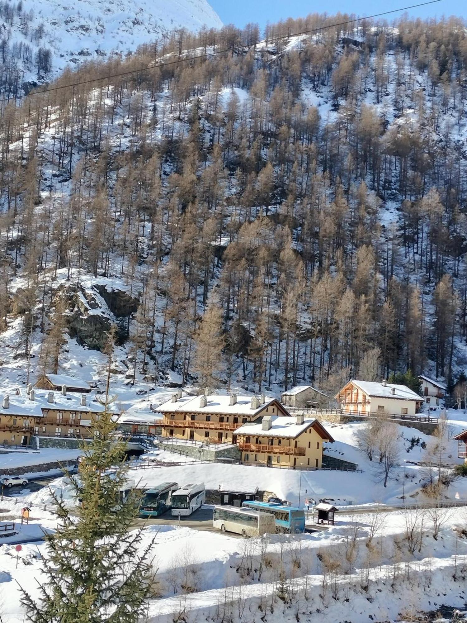 Punta Vittoria Sub 14 - Residence Anderbatt Gressoney - 3 Locali - Cir N 0010 Staval Exteriér fotografie